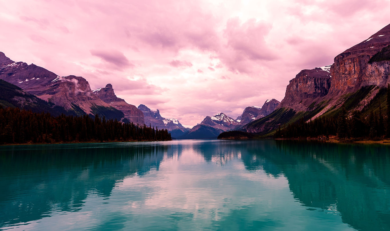 Image by Tom Gainor