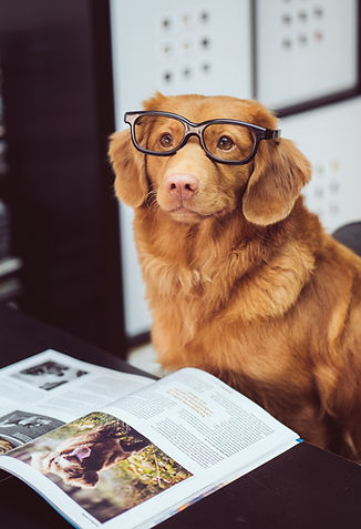 Image by Jamie Street