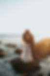 Image by Nathan Dumlao