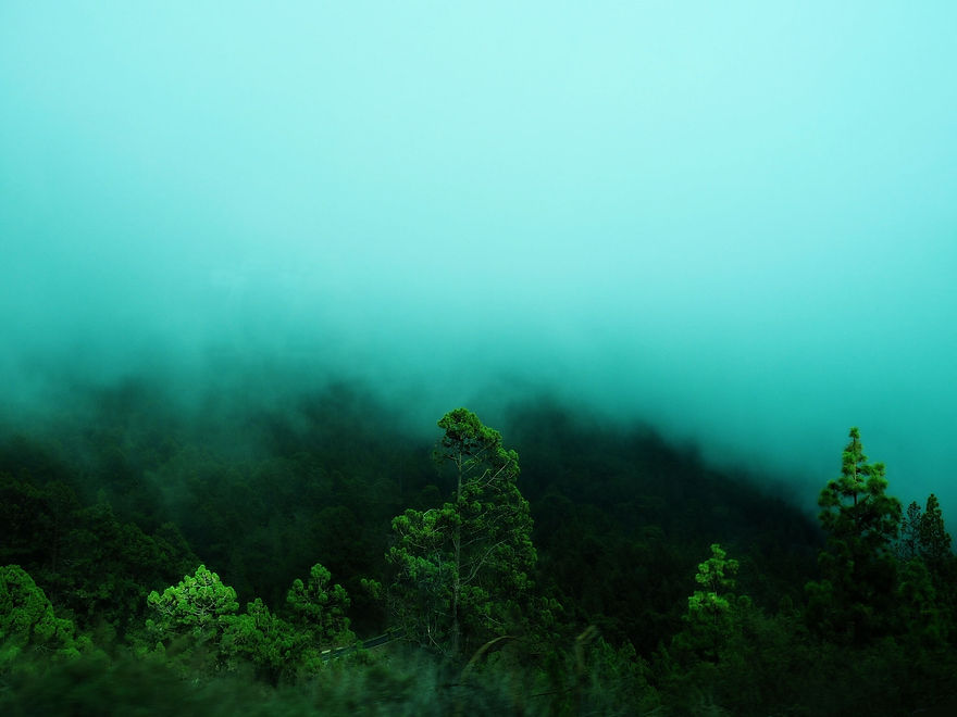 Image by Megan clark