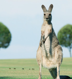 Image by Photoholgic