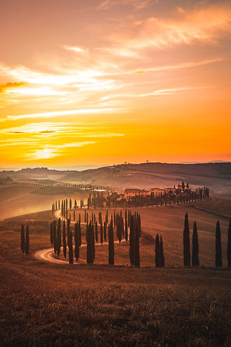Image by Jarno Cobbaert