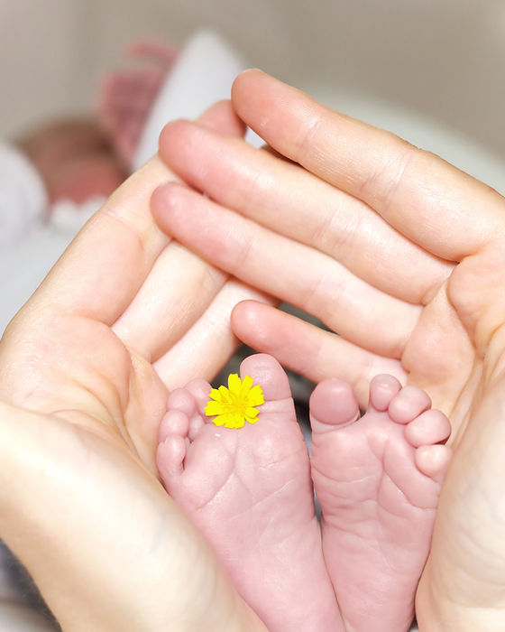 Image by Manuel Schinner