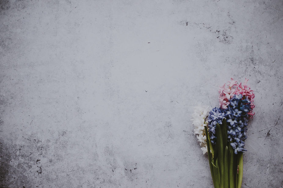 Image by Annie Spratt