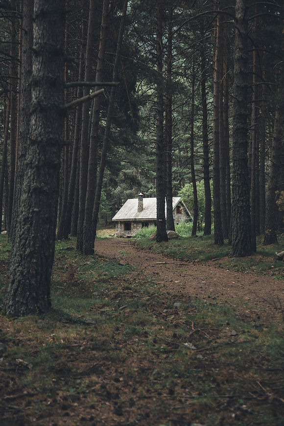 Image by Mikel Ibarluzea