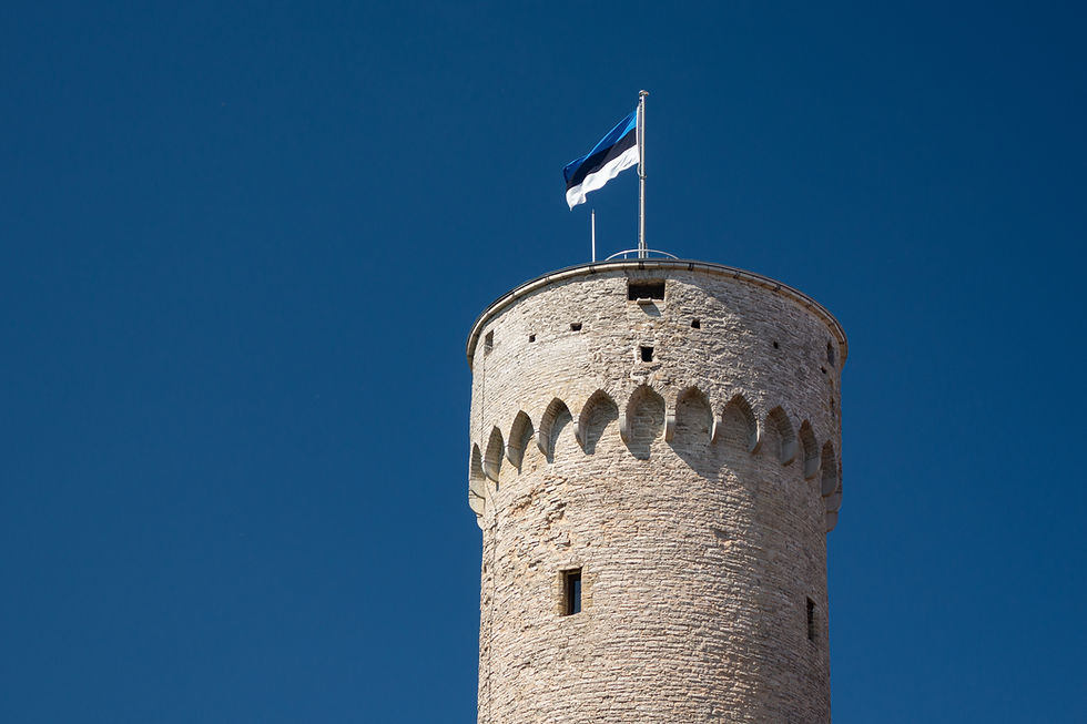 estonia building and flag