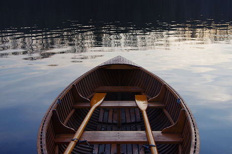 Image by Robert Crawford