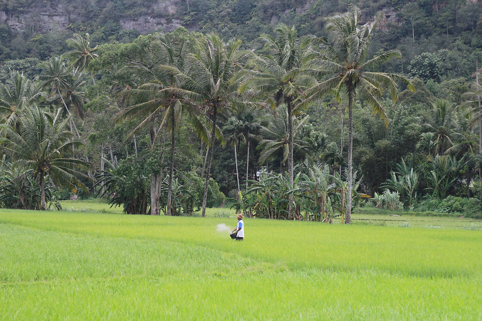Payakumbuh Padang Tour