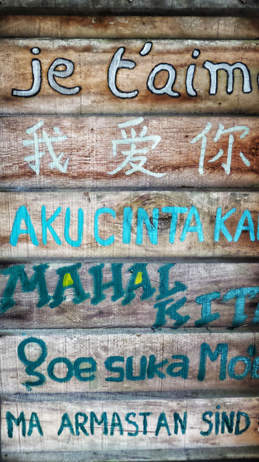 The Language of Culture/the culture of language