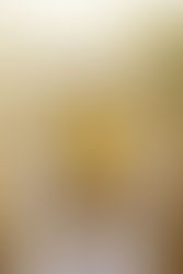 הערכה: הצטרפות לרמה גבוהה יותר