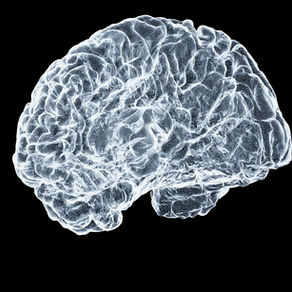 Neurodivergências e Ansiedade e Depressão