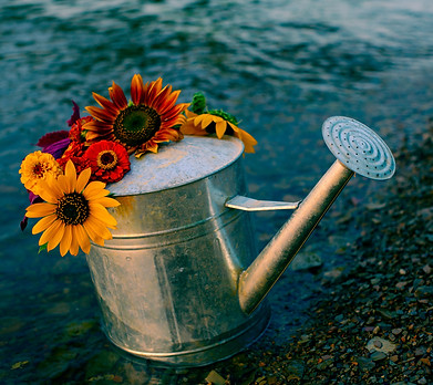 Image by Jeremy Morris