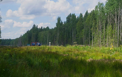 stock image of clearing next to forest