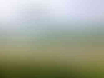 北朝鮮との国境、DMZ(非武装地帯)