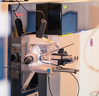 Image by Bas van Breukelen