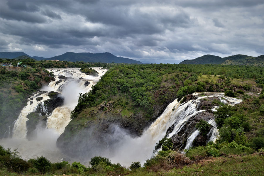 Image by ANANYA ANAND