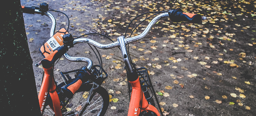 Image by Nastya Dulhiier