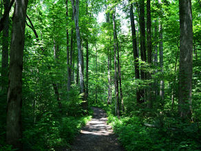 CO DZISIAJ ZROBIŁAŚ DLA SWOJEGO UKŁADU NERWOWEGO.