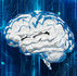 Summation - Chapter 1 Verifiable Thinking