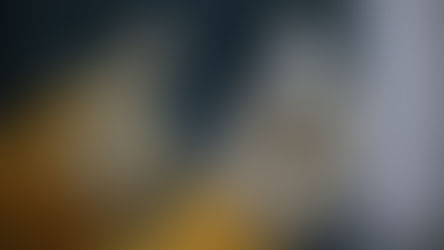 Bumps on the road to evidence-based HR