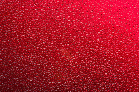 Image by Nick Fewings