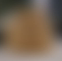 orangefarbene Tabbykatzen