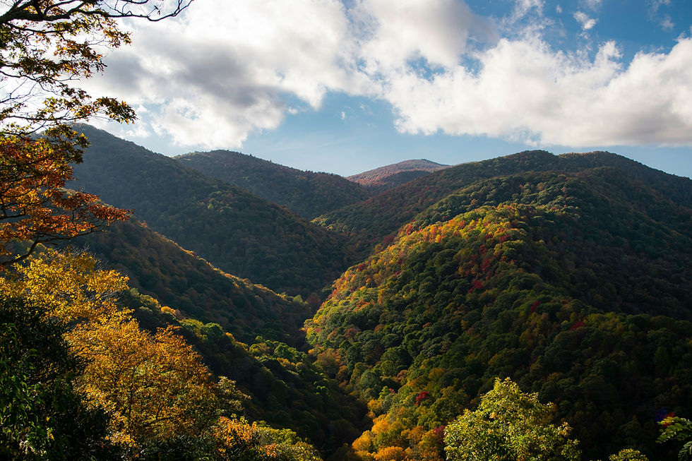 Moutains Near Blue Ridge GA