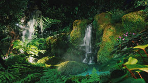 If I could change one thing about the world today what would it be?