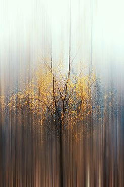 Image by Maria Lupan