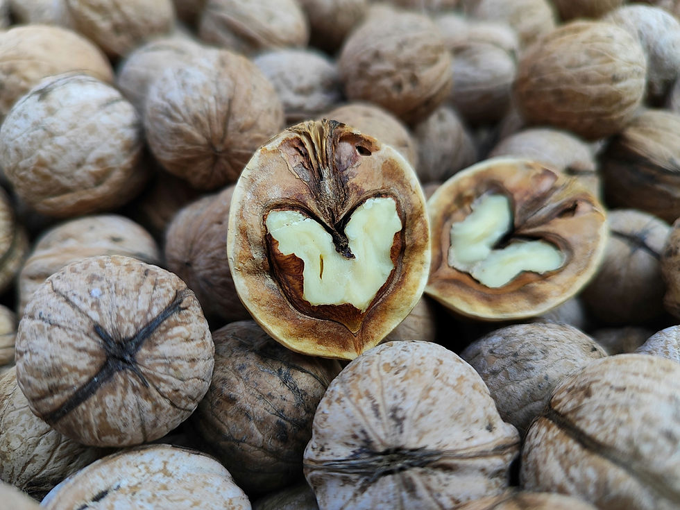 Omega-3-Fettsäuren durch Nüsse