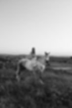 Black-and-white photo of a woman in a floral dress riding a white horse in a grassy hilltop field, with stone walls and rolling hills.