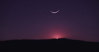 Image by Sasha Kaunas