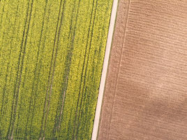 Message Technique N° 11