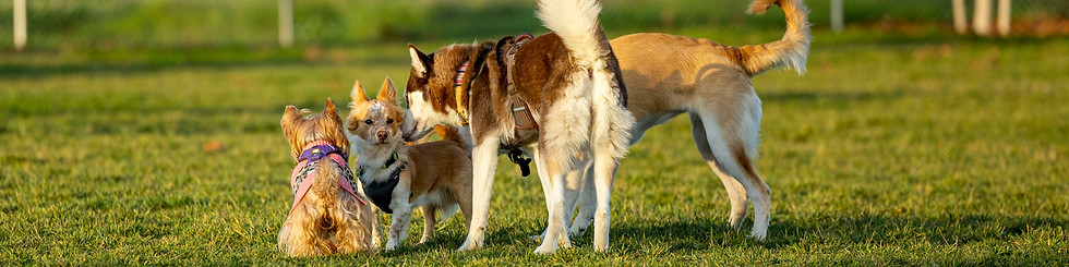 Image by Leo_Visions