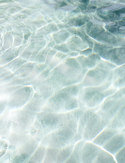 Image by Marissa Rodriguez