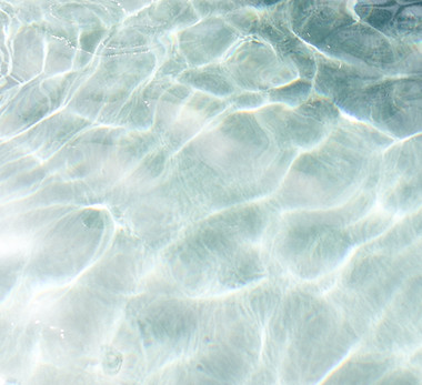 Image by Marissa Rodriguez