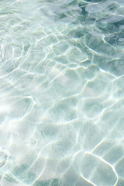 Image by Marissa Rodriguez