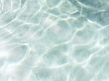 Image by Marissa Rodriguez