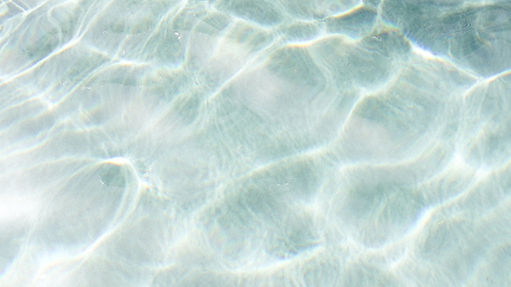 Image by Marissa Rodriguez