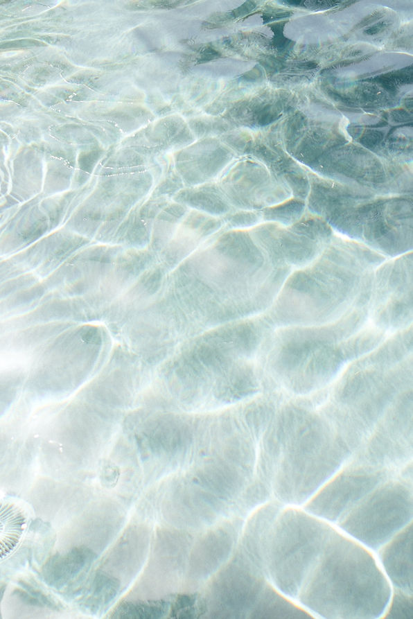 Image by Marissa Rodriguez