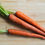 Thumbnail: three carrots on a table