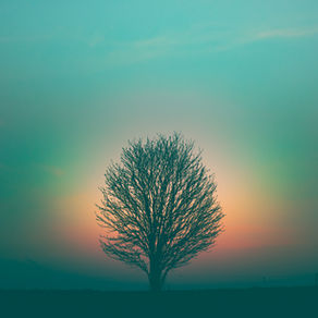 Loss of the Sacred: How Modern Life Forgot