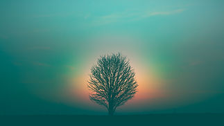 Image by Marek Piwnicki