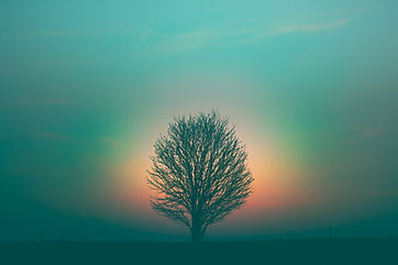 Image by Marek Piwnicki