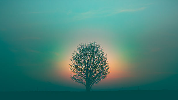 Image by Marek Piwnicki