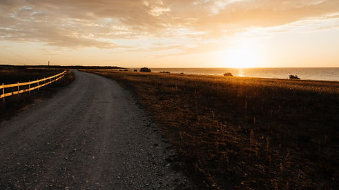 Image by Niklas Veenhuis