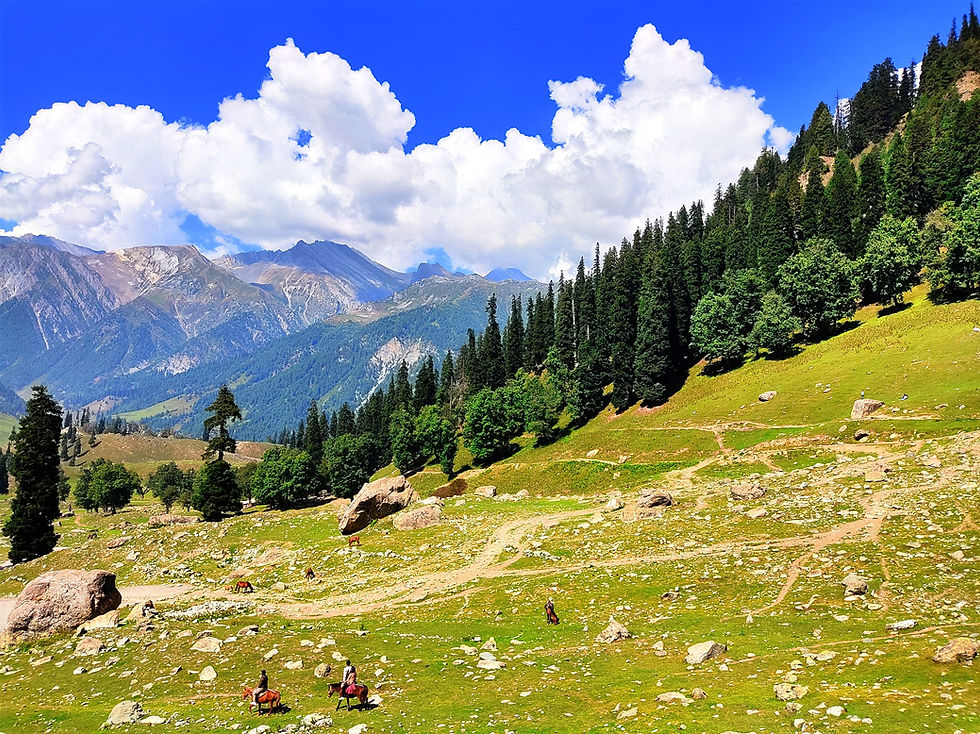 Luxury Kashmir Tour Package