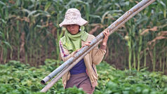 Women defending land and water are reshaping environmental leadership