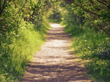 Best Hikes in the PNW 