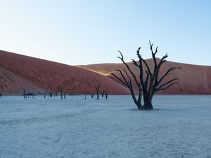 NOTHING'S GONNA CHANGE YOUR WORLD